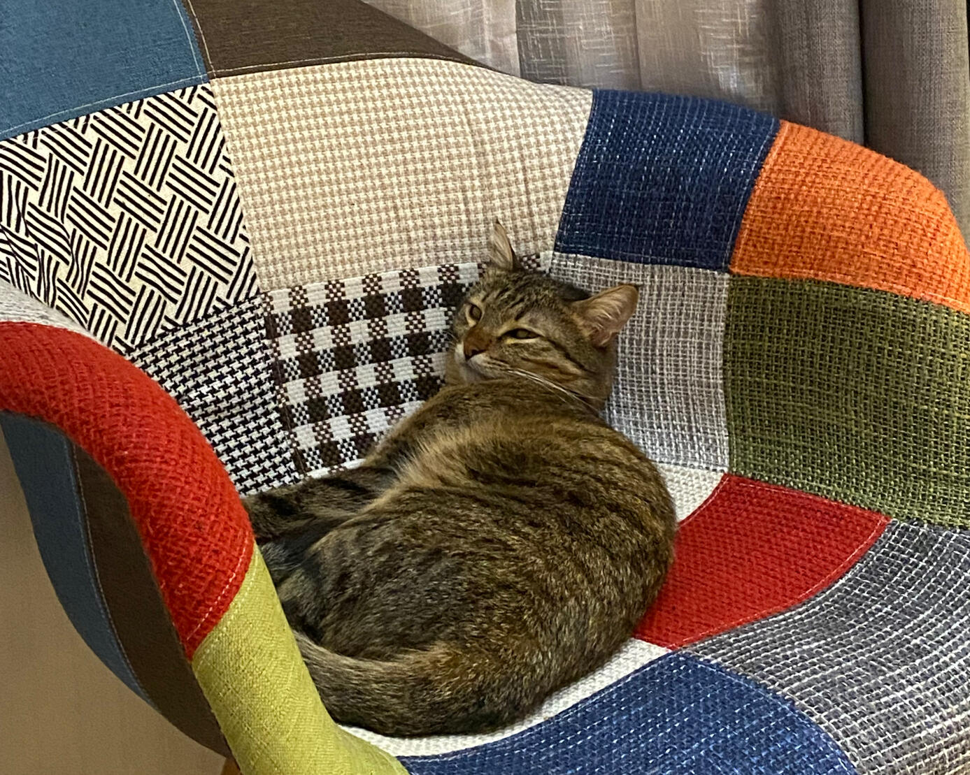 Kabachok my dear boy